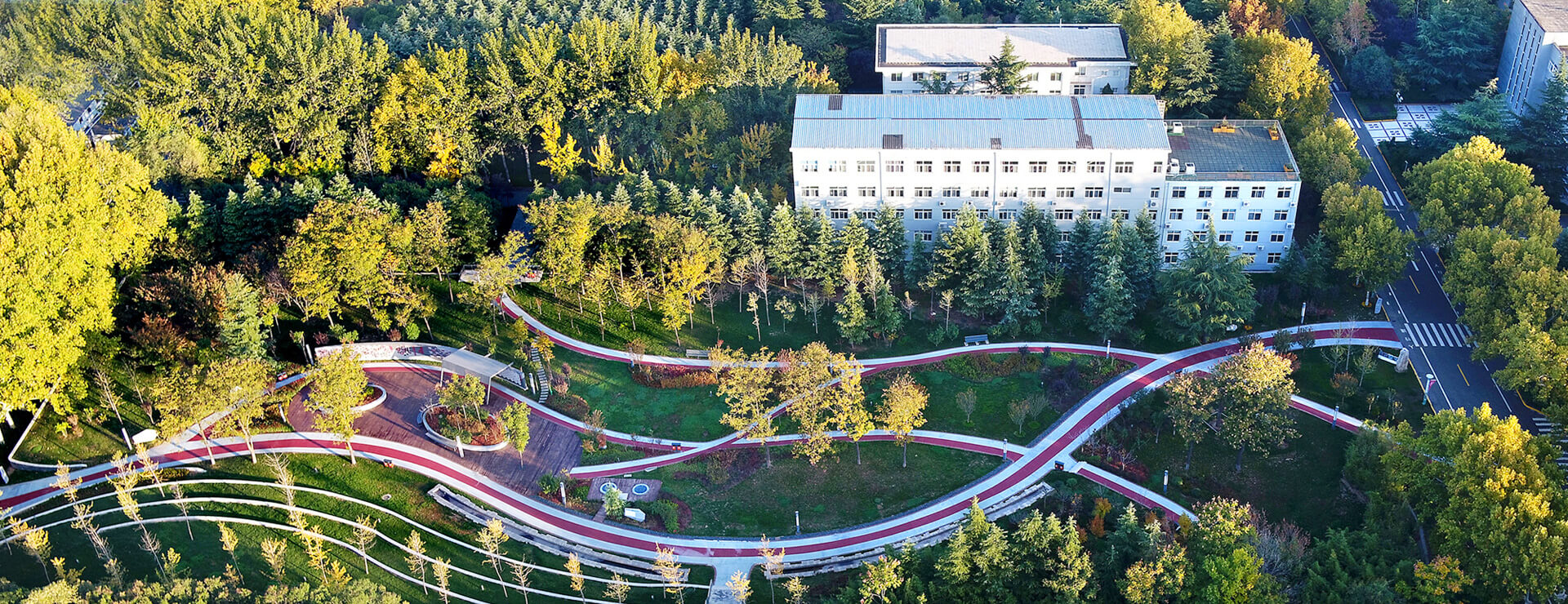 八哥电影在线观看